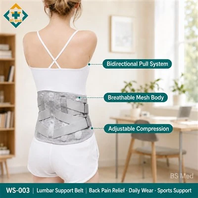 Modular Lumbar Support Belt